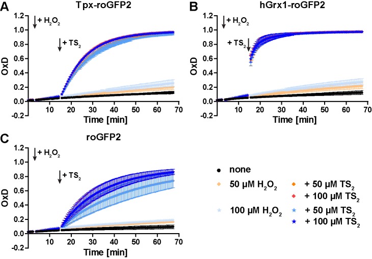 Figure 3—figure supplement 3.