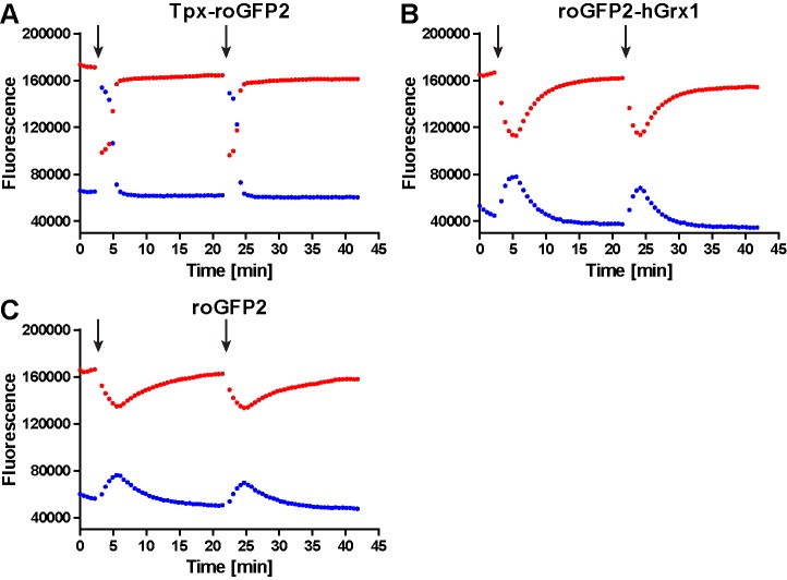 Figure 3—figure supplement 2.