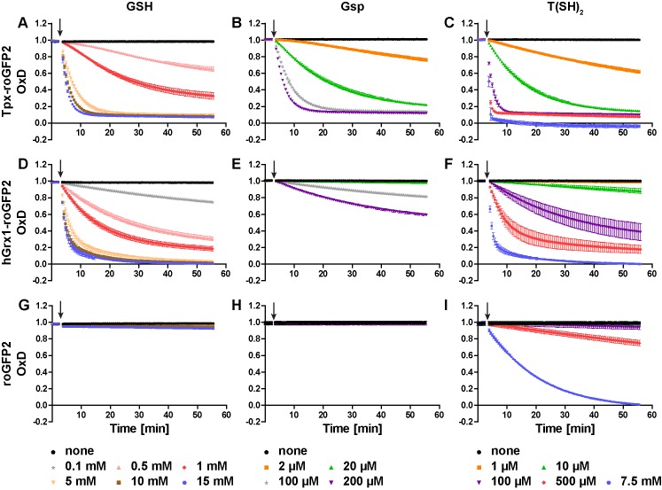 Figure 2—figure supplement 1.