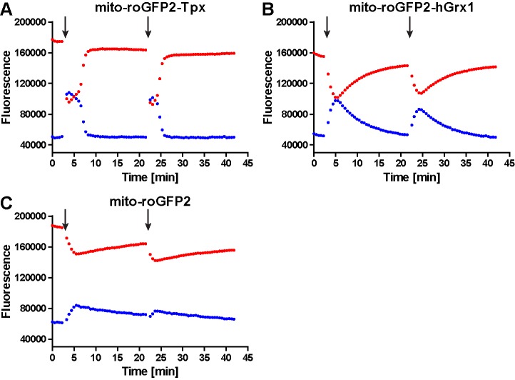 Figure 7—figure supplement 2.