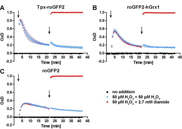 Figure 3—figure supplement 4.