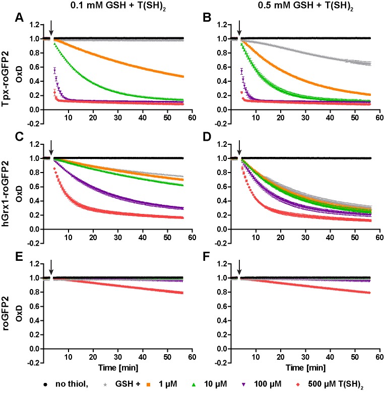 Figure 2—figure supplement 3.