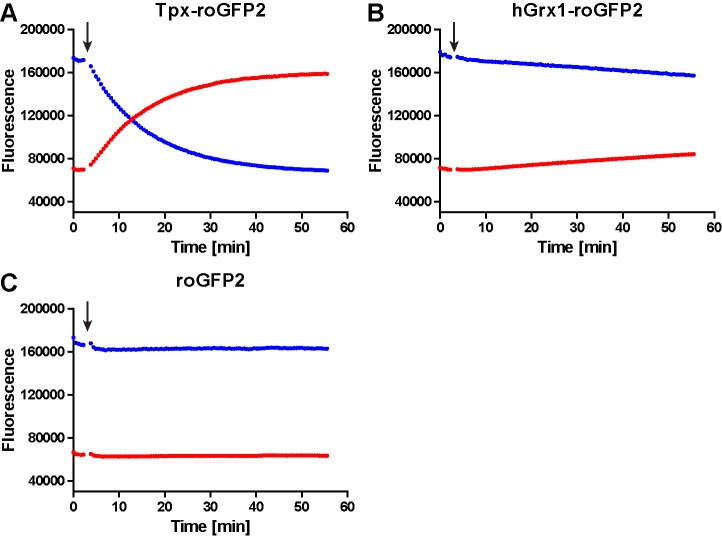 Figure 2—figure supplement 2.