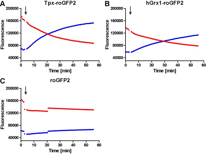 Figure 1—figure supplement 3.