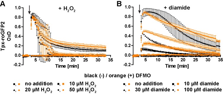 Figure 4—figure supplement 1.