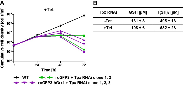 Figure 5—figure supplement 1.