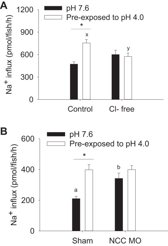 Fig. 7.