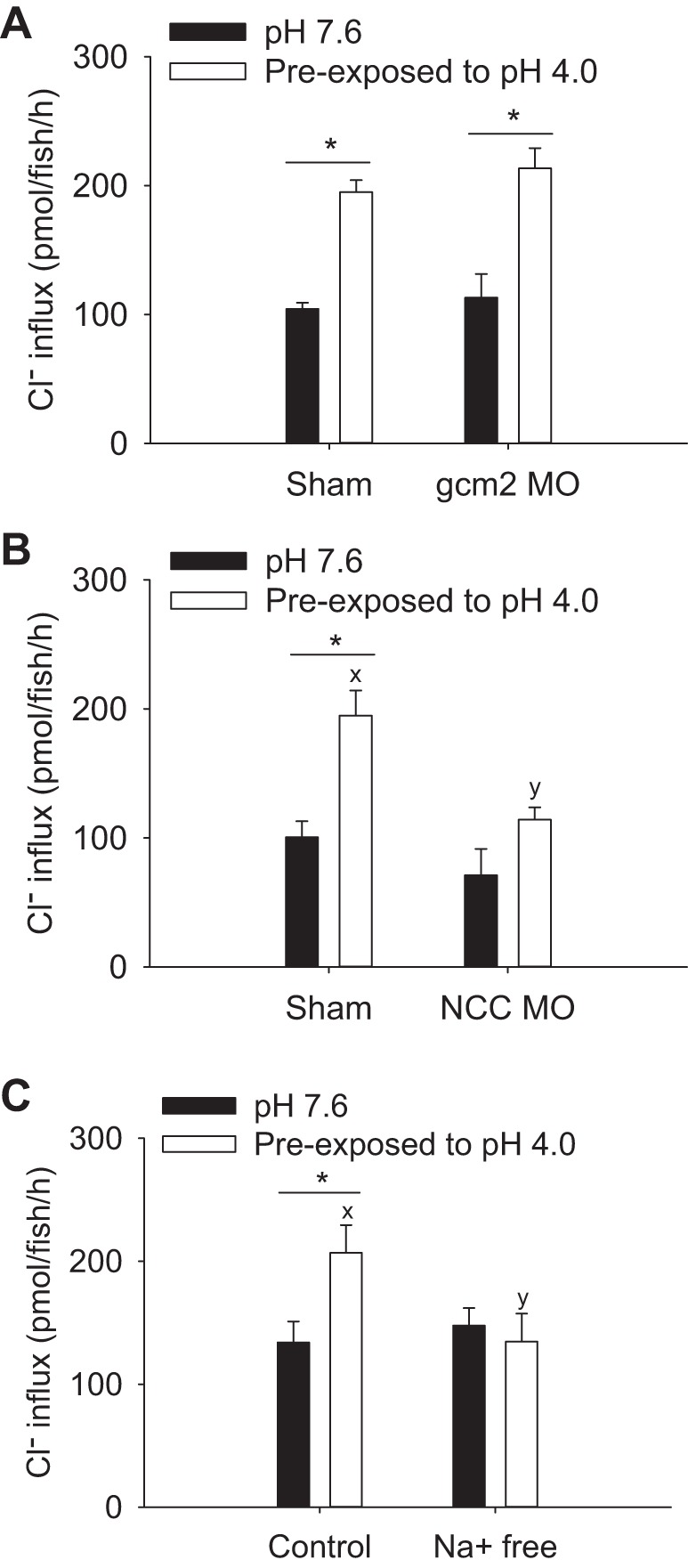 Fig. 8.