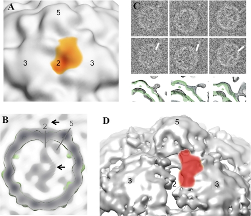 FIG. 3.