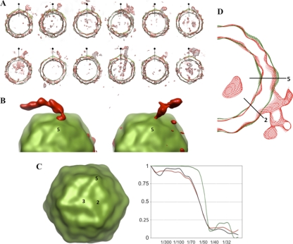 FIG. 2.