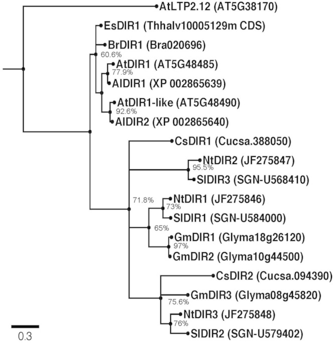 FIGURE 1