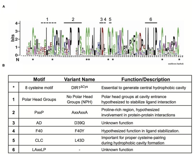 FIGURE 3