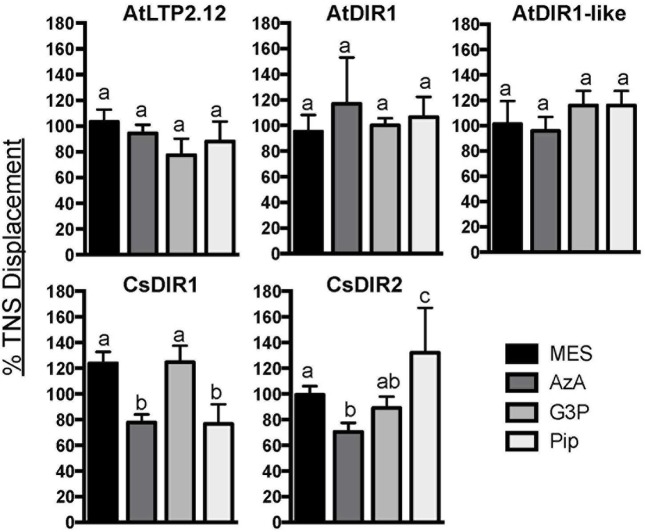 FIGURE 6