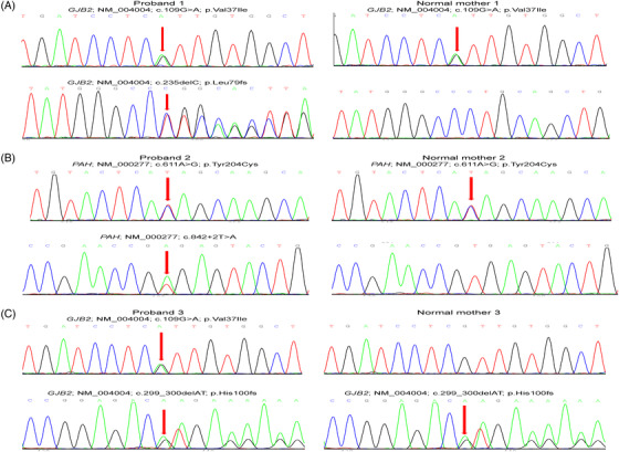 FIGURE 3