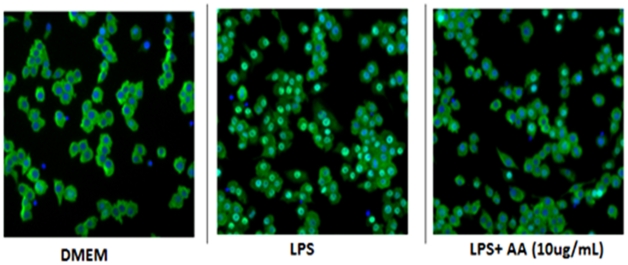 Figure 10