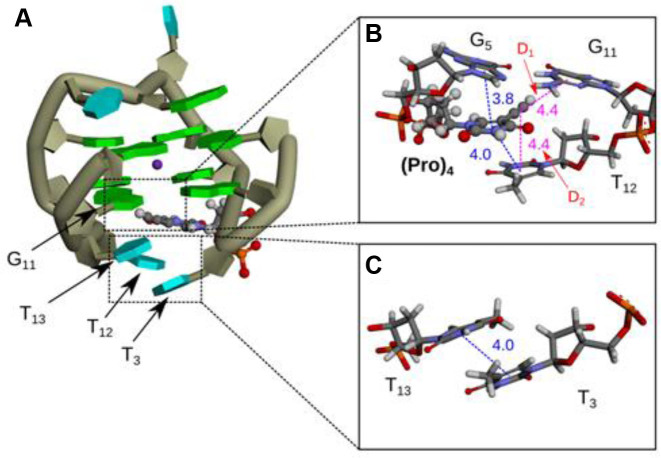 Figure 9.