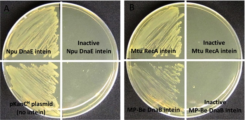 FIGURE 2.