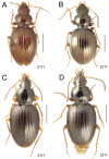 Figure 45.