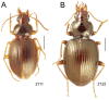 Figure 34.