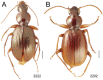 Figure 15.