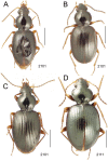 Figure 42.