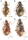 Figure 16.
