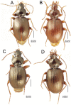 Figure 26.