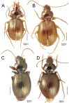 Figure 23.