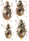 Figure 39.