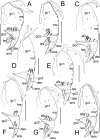 Figure 9.