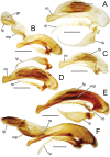 Figure 13.
