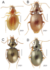 Figure 48.