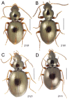 Figure 41.