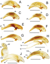 Figure 30.