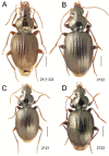 Figure 17.
