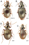 Figure 28.