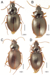Figure 11.