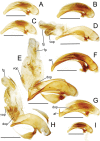 Figure 47.