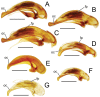 Figure 19.