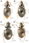 Figure 46.