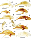 Figure 36.