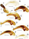 Figure 18.