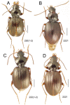 Figure 25.