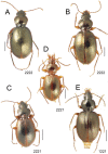 Figure 22.