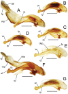 Figure 24.
