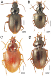 Figure 10.