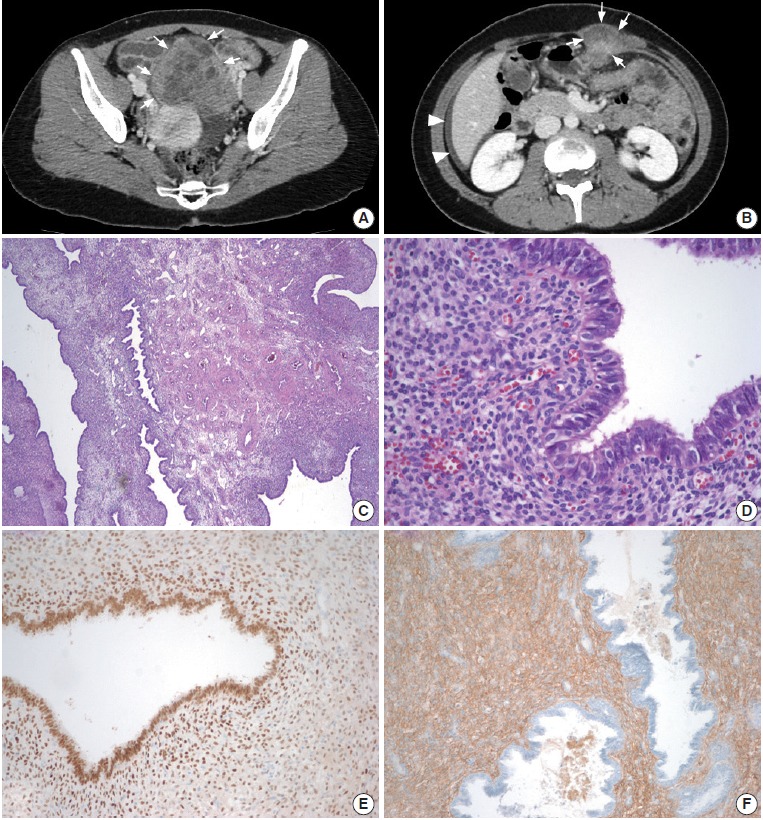 Fig. 1.