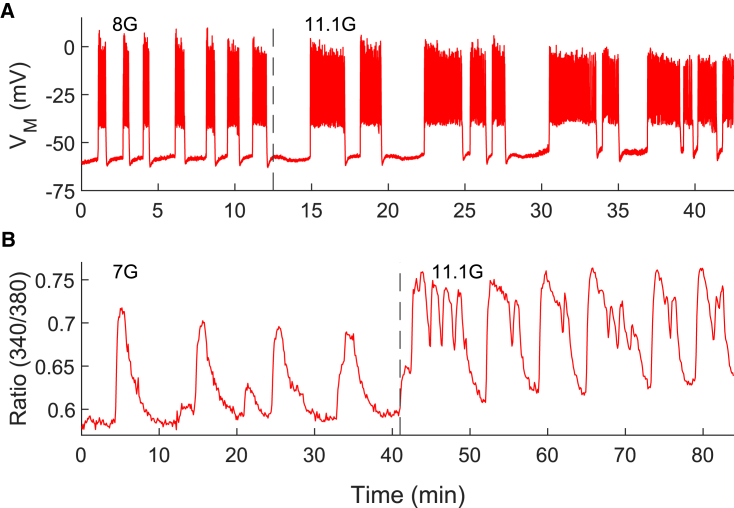 Figure 7