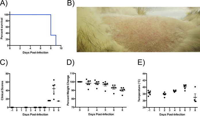 FIG 1