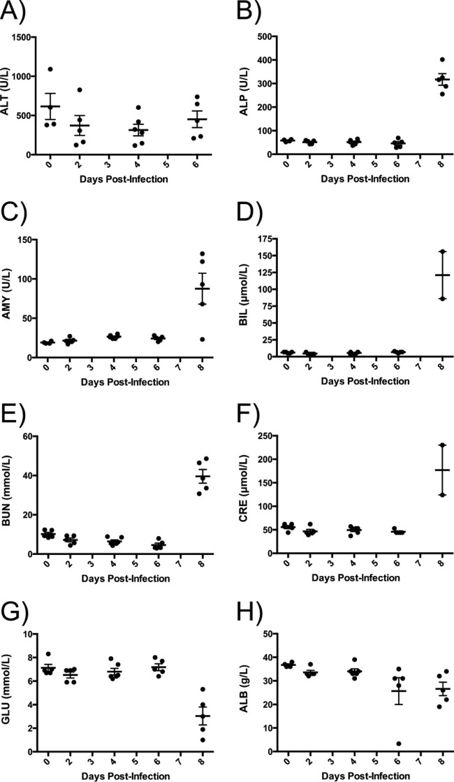 FIG 2